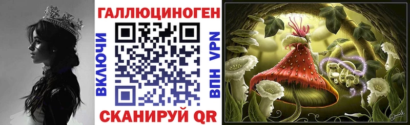 купить   дарк нет какой сайт  Галлюциногенные грибы мицелий  Торопец 